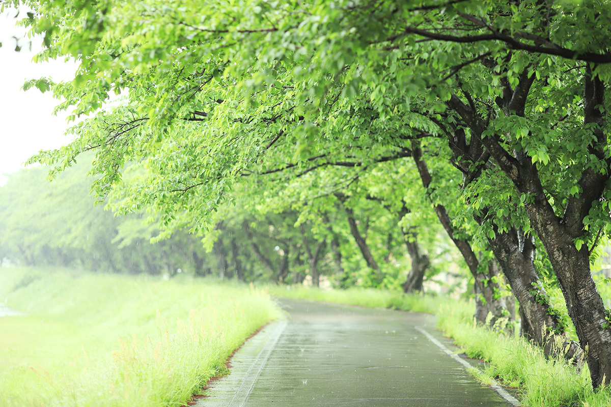 未来への責任、リーダーの役割