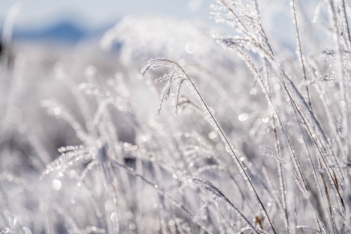 自画自賛 〜当たらずといえども遠からず（笑）〜